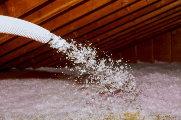 Best Energy Efficiency Insulation in Linln Park, CO