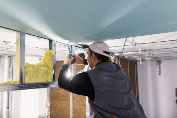 Best Eco-Friendly Insulation in Linln Park, CO